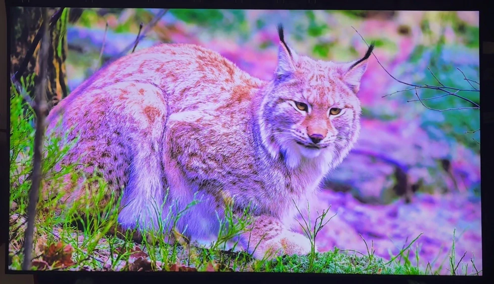 Televize Samsung QE85QN72F, kosmetické poškození